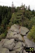 Burgsteinfelsen bei Bad Alexandersbad nahe Wunsiedel im Fichtelgebirge, Bayern, (D) (7) 3. September 2016 (Kösseine-Randgranit.JPG